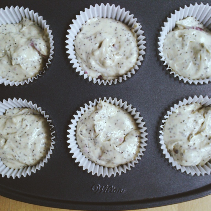 Pre-Tanned Muffins
